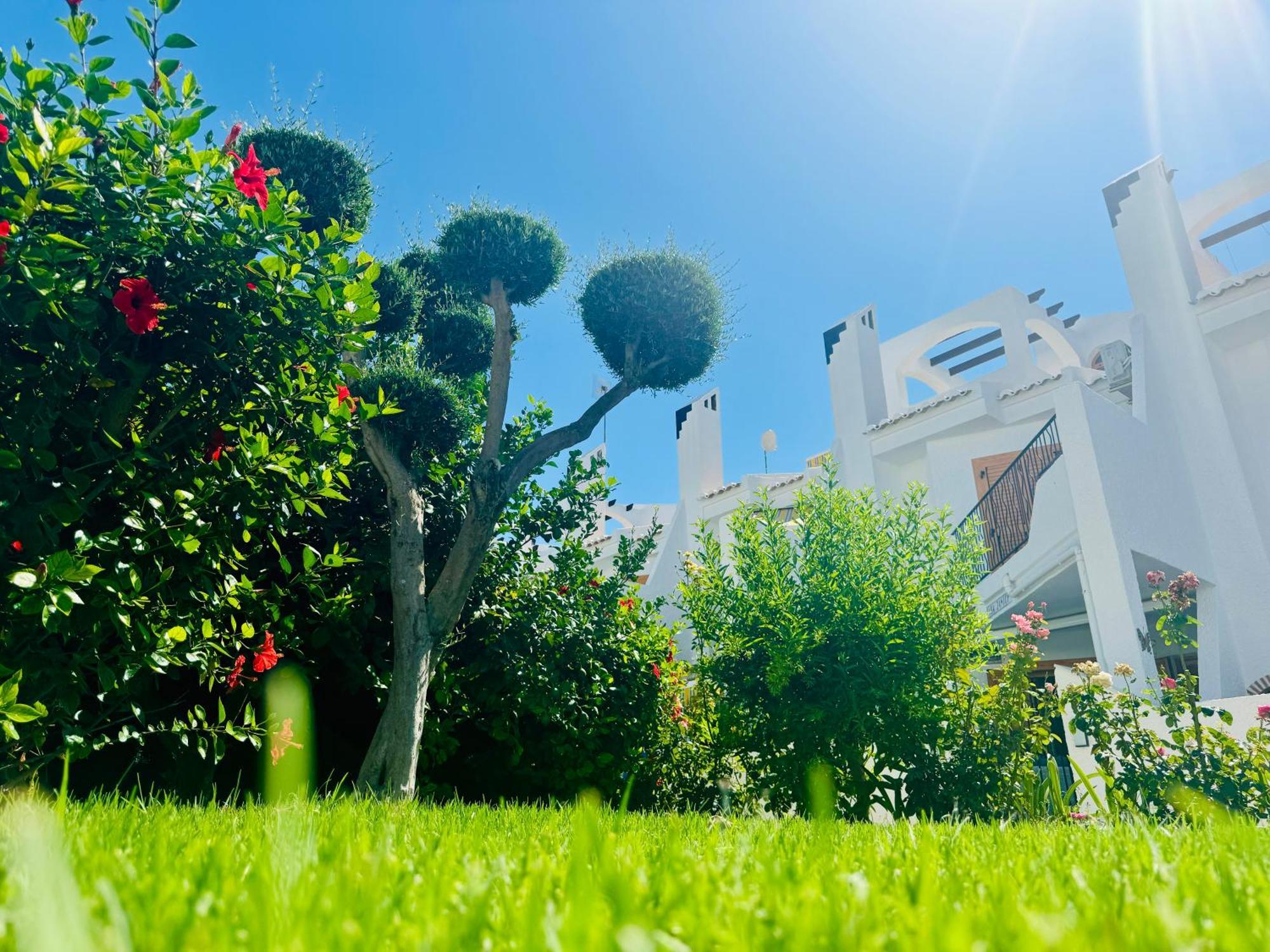 Contemporary House In Cabo Roig Vila Orihuela Exterior foto